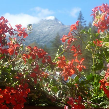 Erika Penzion Vysoké Tatry Exterior foto