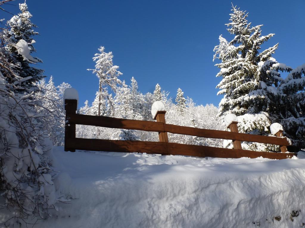 Erika Penzion Vysoké Tatry Exterior foto